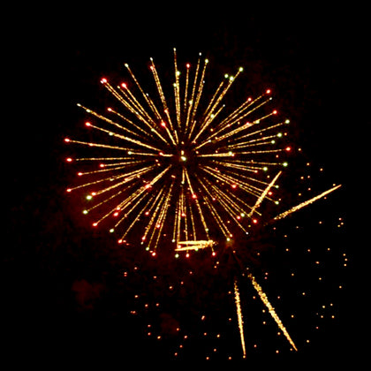 Premium & Professional Consumer Edition