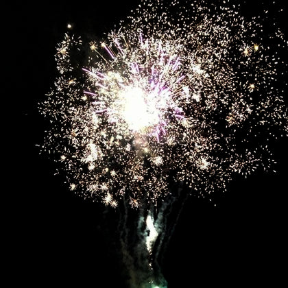 Small & Large Calibre Multi-Shots