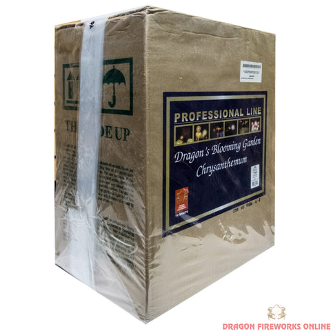J06C Dragon's Blooming Garden Chrysanthemum (10)