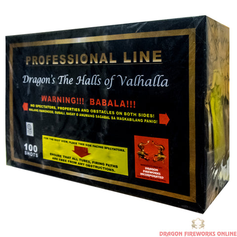 P03 Dragon's The Halls of Valhalla