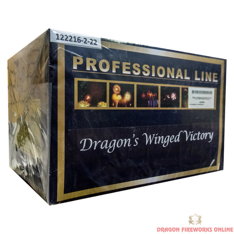 P11 Dragon's Winged Victory