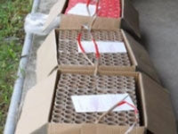 X01 Dragon's Symphony of Lights Package 1