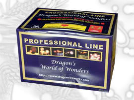 P12 Dragon's World of Wonders