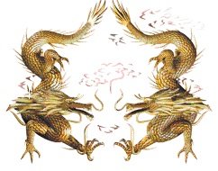 edragon.express