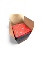 F11 Dragon's Lamp of Aladdin - Image 2